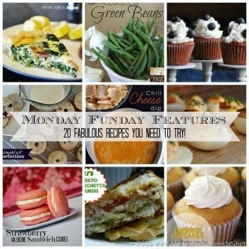 Monday Funday &ndash;20 Recipes to Try!