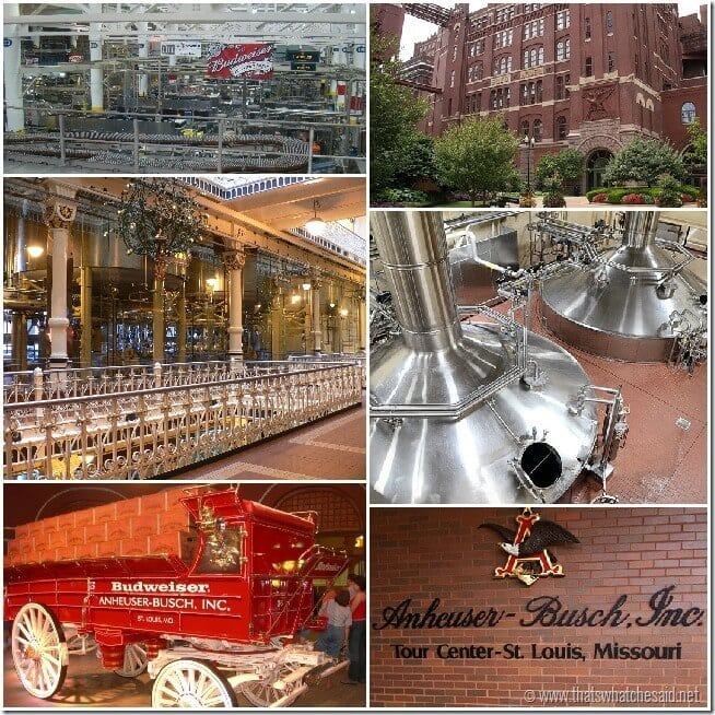 Free things to do in St. Louis, MO