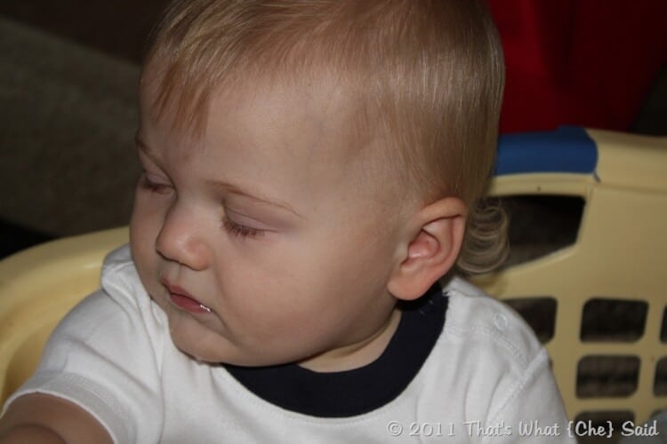 Baby Boy's First Haircut – That's What {Che} Said... Baby Boy's First Haircut – That's What {Che} Said...