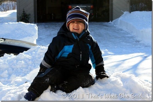 Snow Mound in MN 2010