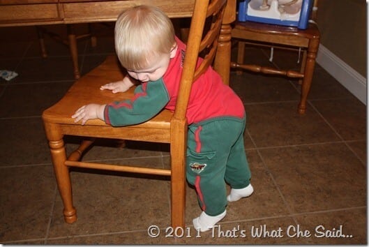 IMG_1019 IMG_1019