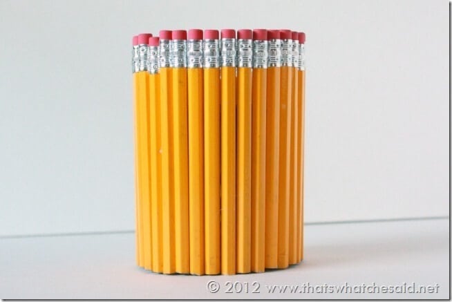 Assembled Pencil Cup