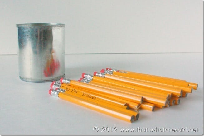 Pencil Cup Can and Pencils