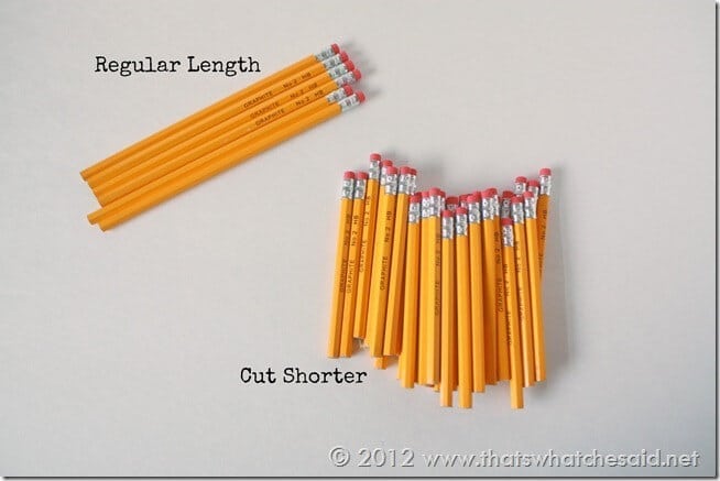 Pencil Cup - Pencils