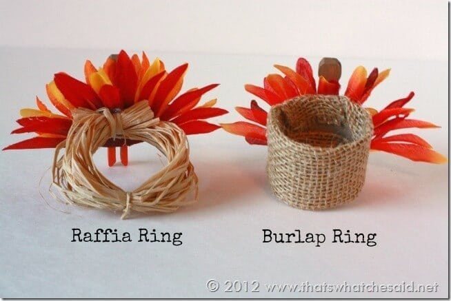 Napkin Ring Types 1