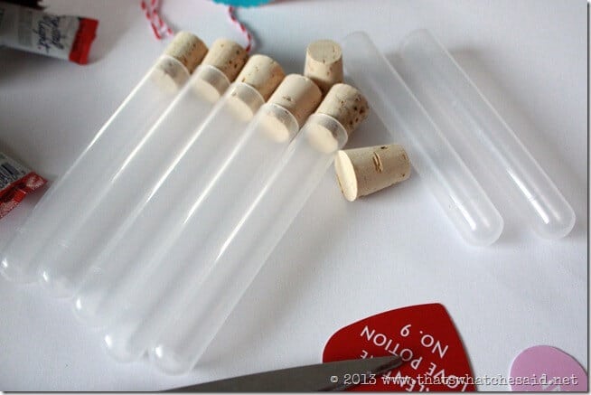 Love Potion Plastic Test Tubes