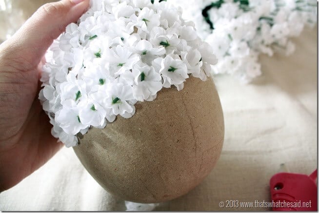 Blooming Egg up Close