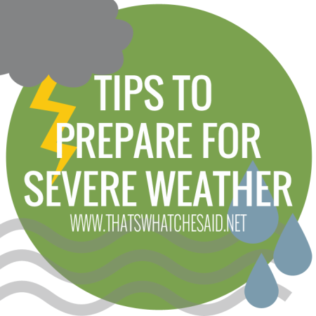 Severe Weather Tips from www.thatswhatchesaid.net