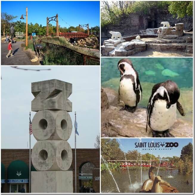 Zoo Collage
