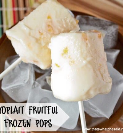 Yogurt Pops at thatswhatchesaid.net