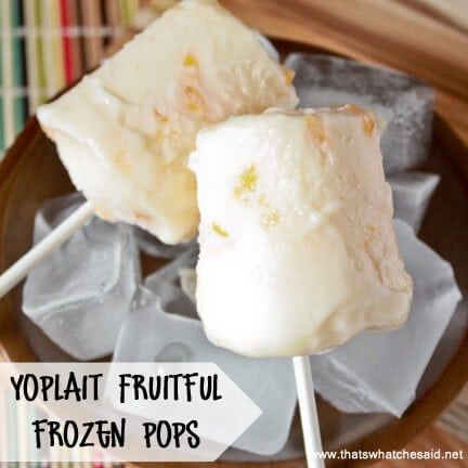 Yogurt Pops at thatswhatchesaid.net