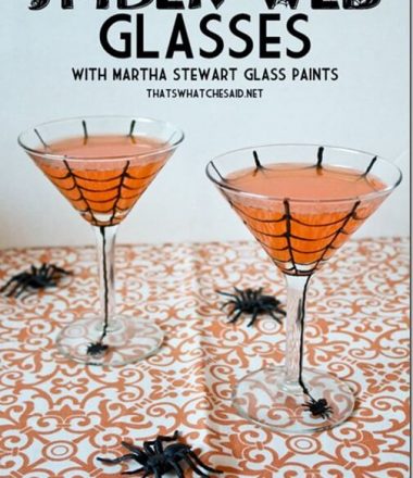 DIY_Halloween_Spider_Web_Glasses_with_thatswhatchesaid.net__