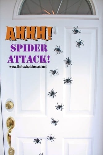 Spider Attack! Glue Fake Spiders onto Magnets and place on door! 