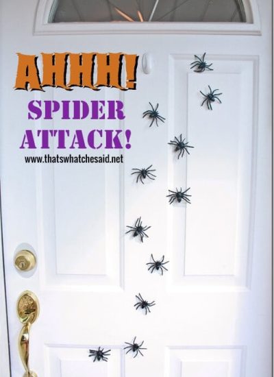Magnetic_Spider_Attack_Door_Decor_at_thatswhatchesaid.net_