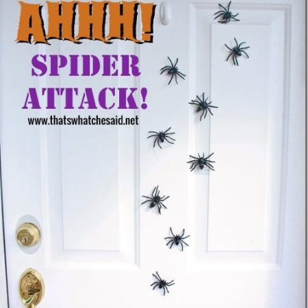 Magnetic_Spider_Attack_Door_Decor_at_thatswhatchesaid.net_