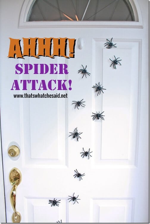 Magnetic_Spider_Attack_Door_Decor_at_thatswhatchesaid.net_