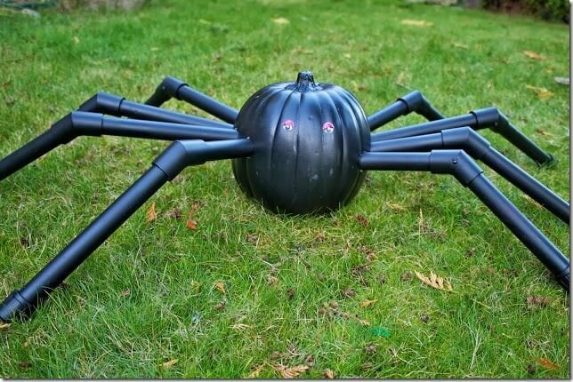 PVC Spider