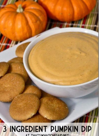 3 Ingredient Pumpkin Dip Recipe at thatswhatchesaid.net_