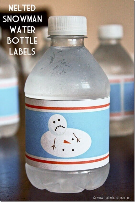 Free Water Bottle Labels at thatswhatchesaid.net