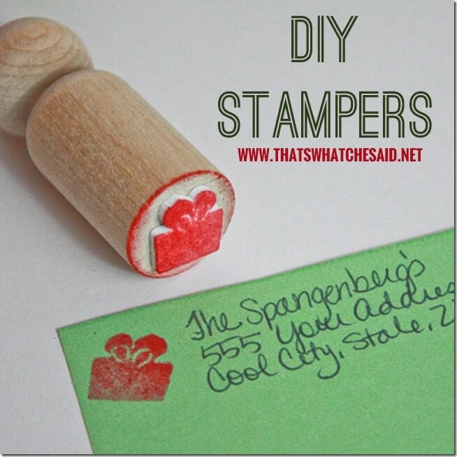 DIY Stamper Set at thatswhatchesaid.net