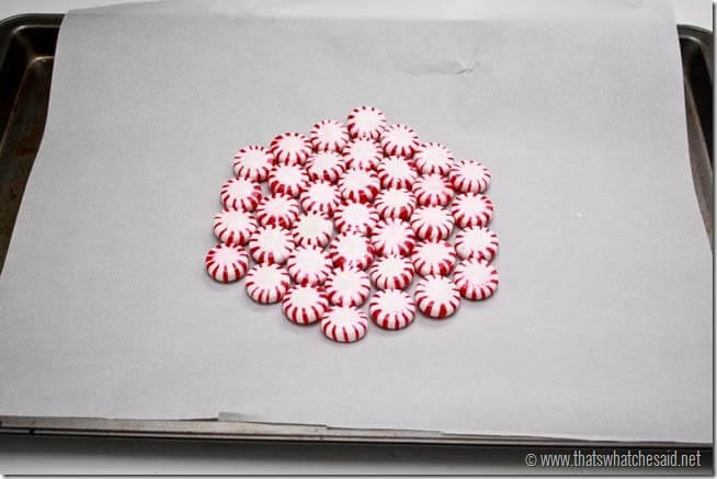 Peppermint Serving Tray 2