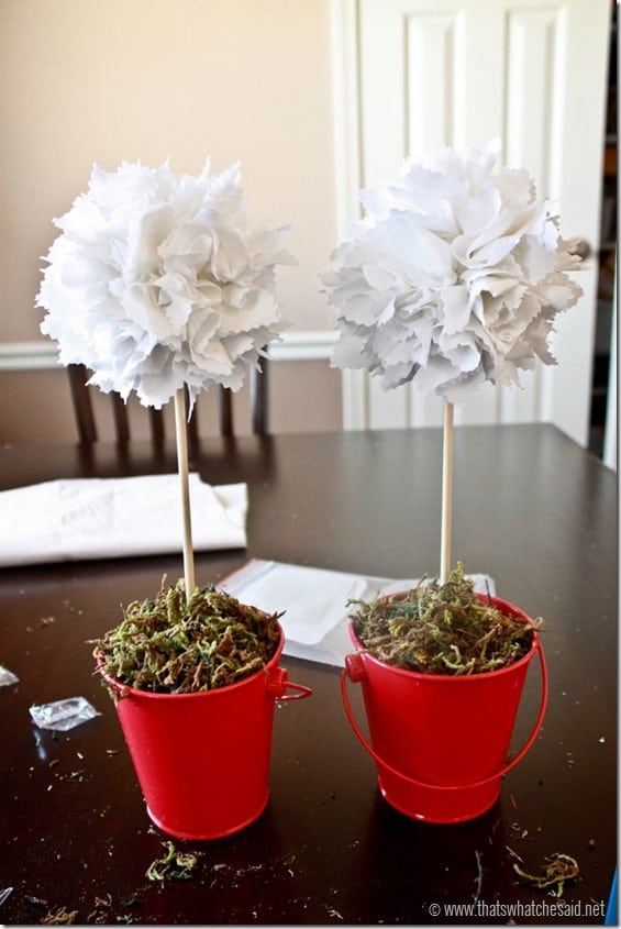 DIY Topiary Tutorial at www.thatswhatchesid.com