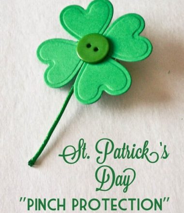 Pinch Protection - Shamrock Pin tutorial at thatswhatchesaid.net