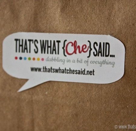 Custom Stickers using Silhouette Print and Cut feature at thatswhatchesaid.net