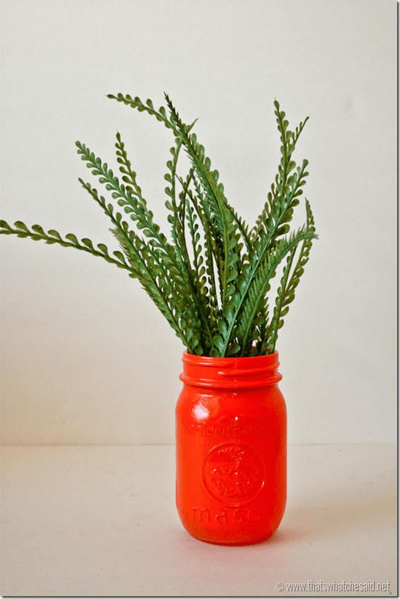 Carrot Mason Jars at thatswhatchesaid.net