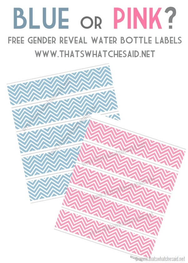 Pink and Blue Free Chevron Water Bottle Labels at thatswhatchesaid.net