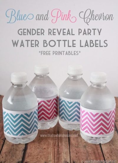 Pink and Blue Free Chevron Water Bottle Labels at thatswhatchesaid.net
