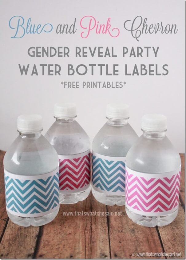 Pink and Blue Chevron Water Bottle Labels at thatswhatchesaid.net.
