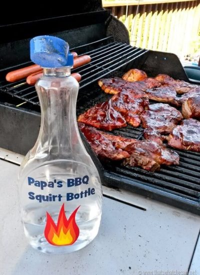 BBQ-Squirt-Bottle-Fathers-Day-Gift-Idea-at-thatswhatchesaid.net