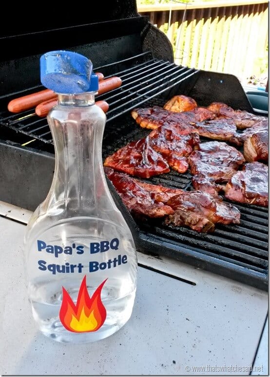 BBQ Squirt Bottle - Father's Day Gift Idea at thatswhatchesaid.net