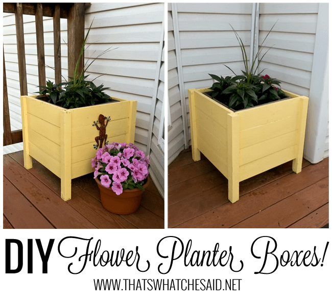 DIY Flower Boxes tutorial at thatswhatchesaid.net