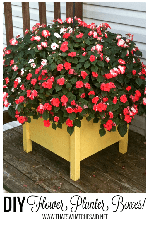 DIY-Planter-Boxes-tutorial-at-thatswhatchesaid.net