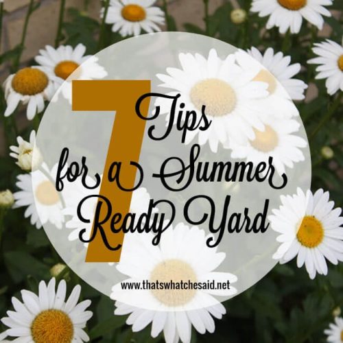 7 Tips for A Summer Ready Yard at thatswhatchesaid.net