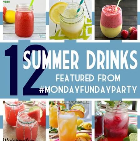 12 Summer Drink Recipes at thatswhatchesaid.com