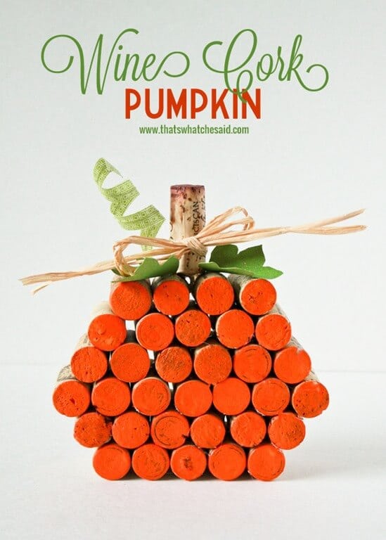 Cork-Pumpkin-Project-at-thatswhatchesaid.com_.jpg