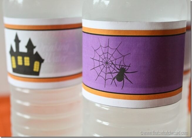 Printable Water Bottle Labels at thatswhatchesaid.com