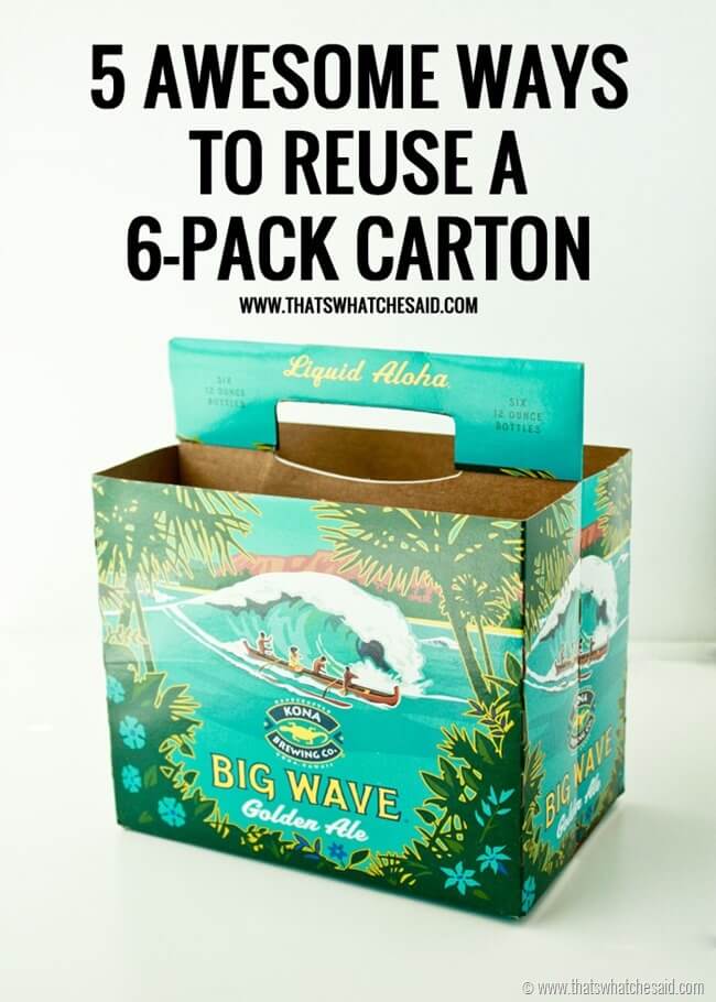 5 Ways to Reuse a 6 Pack Carton at thatswhatchesaid.com