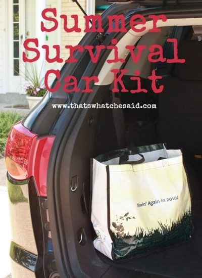Summer-Survival-Car-Kit-at-thatswhatchesaid.com