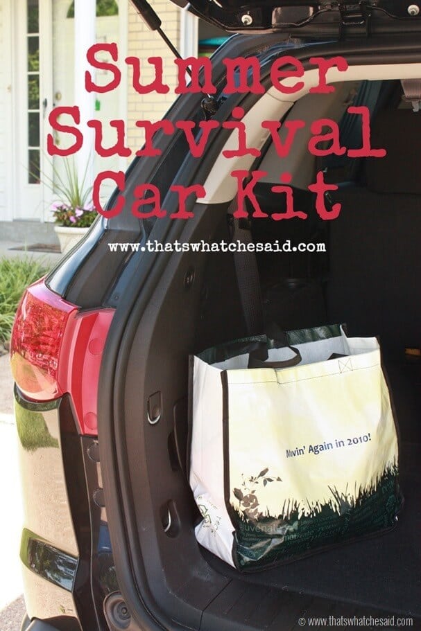 Summer Survival Car Kit at thatswhatchesaid.com Summer Survival Car Kit at thatswhatchesaid.com
