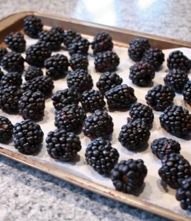 Easiest Way to Freeze Berries at thatswhatchesaid.com