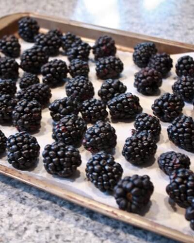 Easiest Way to Freeze Berries at thatswhatchesaid.com