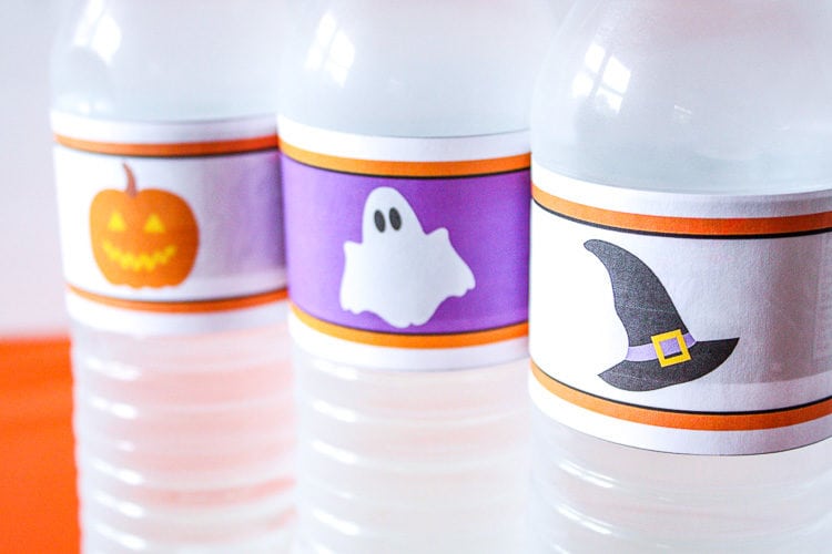 Halloween Pumpkin, Ghost and Witch Hat Water Bottle Labels