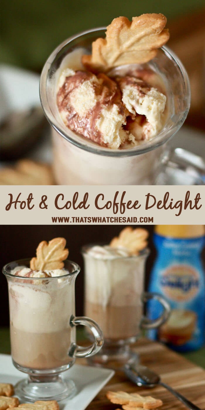 Hot & Cold Coffee Delight at thatswhatchesaid.com