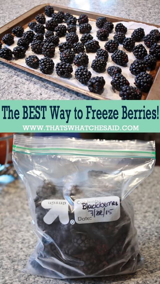 The Best Way to Freeze Berries at thatswhatchesaid.com
