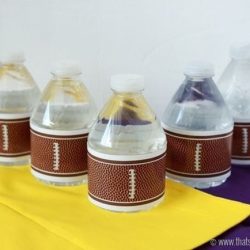 Football Water Bottle Labels at www.thatswhatchesaid.com