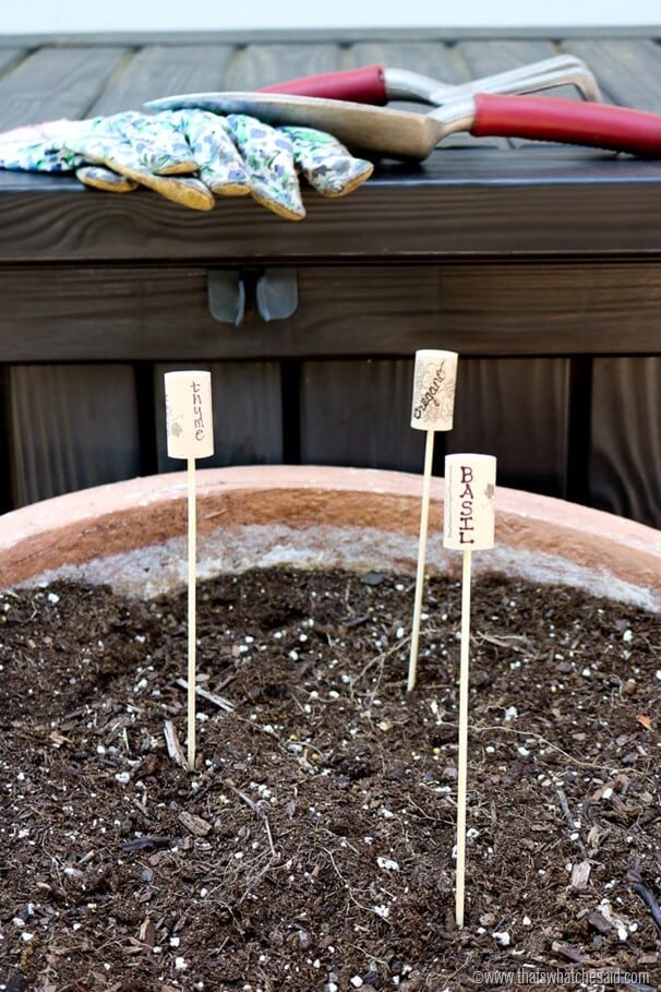 Cork Garden Plant Markers-6